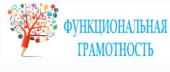 Итоги конкурса «Функциональная грамотность: учимся для жизни»: педагоги в числе победителей и призеров.